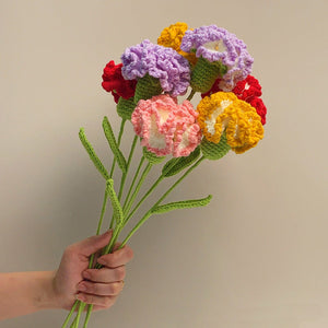 Nelke Häkeln Blume Handgemachte Gestrickte Blume Geschenk Für Liebhaber - DePhotoBoxer