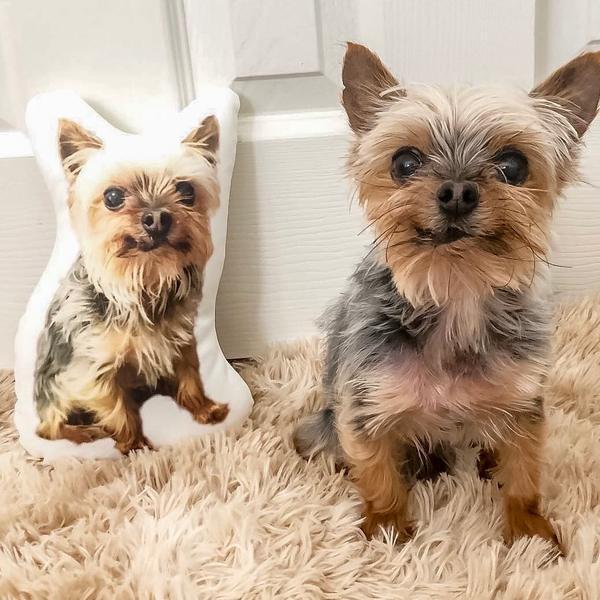 Individuelles Hunde-Foto-Kissen Personalisiertes Haustier-3D-Porträt-Kissen